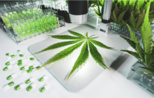 marijuana