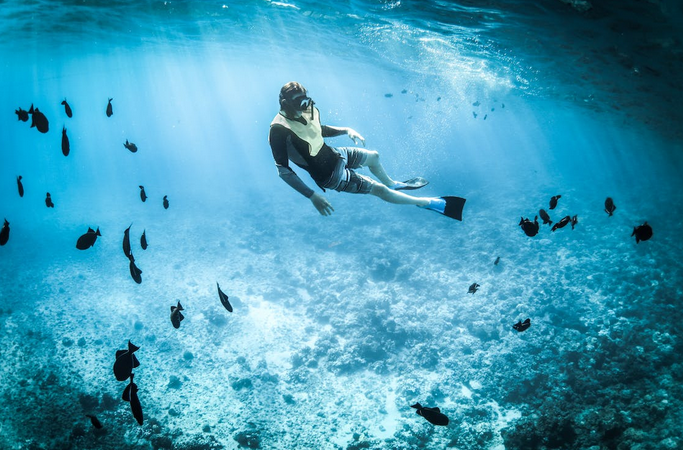 dive